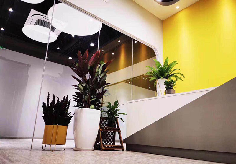 熱烈慶祝星藝堂舞蹈社開(kāi)業(yè)大吉