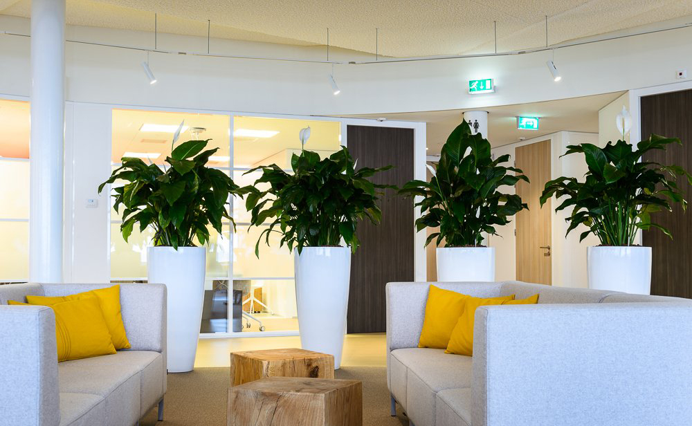 辦公室家具選購因素是什么？辦公家具公司有哪