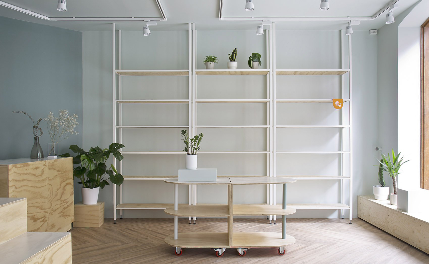 南京專業(yè)的寵物店裝修公司 寵物店裝修影響顧客