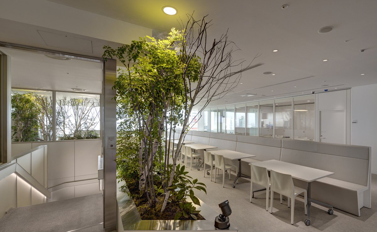 南京辦公裝修衛(wèi)生間瓷磚顏色怎么搭配？