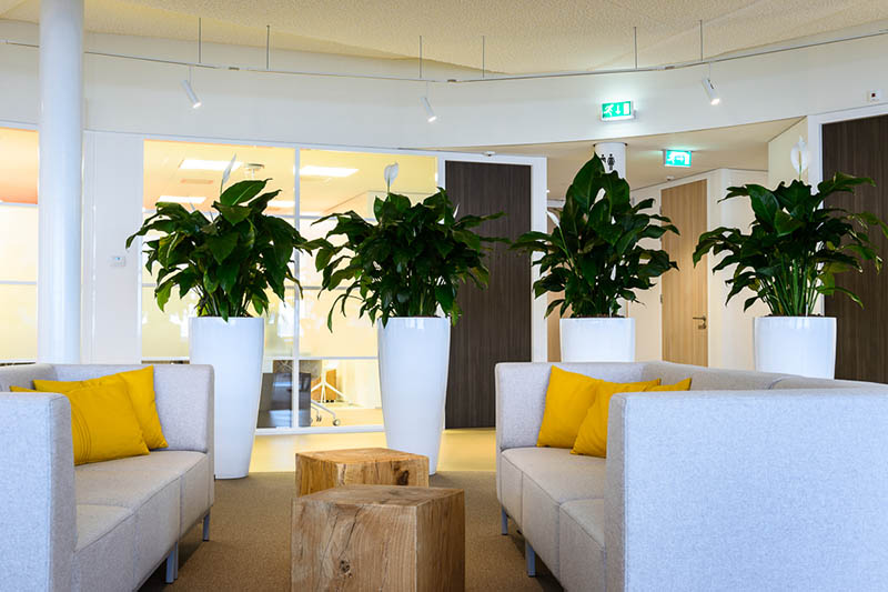 1500平辦公室裝修